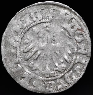 Alexander Jagiellonian, Vilnius half-penny - Renaissance - 9th issue - MONE - very rare.