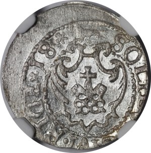 Sigismund III Vasa, 1618 Shelagh, Riga - stars - rare