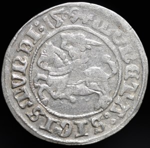 Sigismund I the Old, Half-penny 1509, Vilnius - Pogon without scabbard - colon