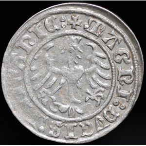 Zygmunt I Stary, Półgrosz 1509, Wilno - Pogoń bez pochwy - dwukropek