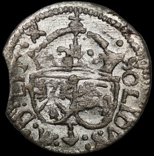 Sigismund III Vasa, 1616 shellac, Vilnius - 