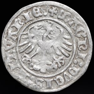 Sigismund I the Old, Half-penny 1511, Vilnius - colon - punch - rare