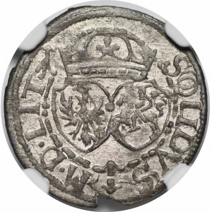 Zygmunt III Waza, Szeląg 1614, Wilno - Bogoria w otoku i Strzała - rzadki