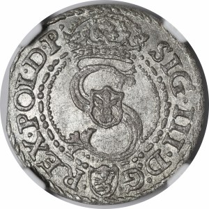 Sigismund III Vasa, the 1592 shellac, Malbork - beautiful