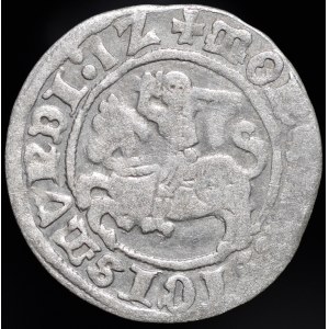 Zygmunt I Stary, Półgrosz 1512, Wilno - ukośny dwukropek, trzykropek - b. rzadki