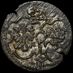 Sigismund III Vasa, Denarius 1623, Lobznica