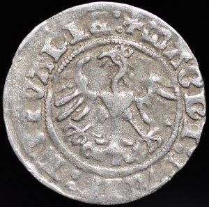 Sigismund I the Old, Half-penny 1512, Vilnius - Ring under the Pogon - rare
