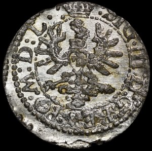 Sigismund III Vasa, Shelrog 1623, Vilnius - Eagle, large Wadwicz - rarer and beautiful