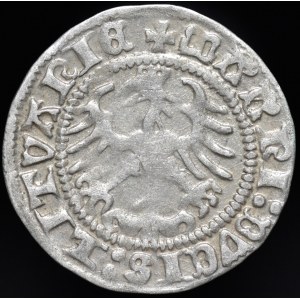 Zygmunt I Stary, Półgrosz 1513, Wilno - Pierścień pod Pogonią, przebitka - b. rzadki
