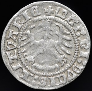 Sigismund I the Old, Half-penny 1513, Vilnius - Ring under the Pogonia, punch - very rare