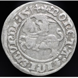 Zygmunt I Stary, Półgrosz 1514, Wilno - przebitka DVCI/SS - b. rzadki