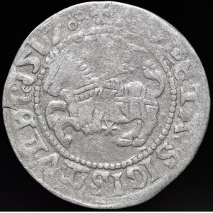Zygmunt I Stary, Półgrosz 1517, Wilno - trzykropek, dwukropek - b. rzadki