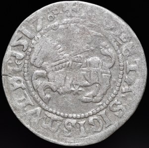 Sigismund I the Old, Half-penny 1517, Vilnius - threepenny, colon - very rare