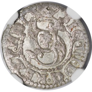 Zygmunt III Waza, Szeląg 1619, Ryga - P M D L, RIGE - rzadki i piękny