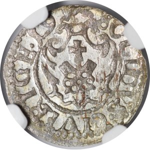 Zygmunt III Waza, Szeląg 1619, Ryga - P M D L, RIGE - rzadki i piękny