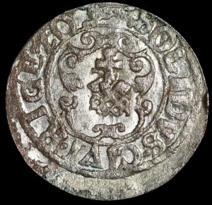 Sigismund III Vasa, Shelly 1620, Riga - fox left - ZO, RIGE