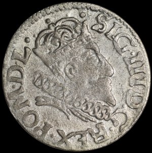 Sigismund III Vasa, 1607 penny, Vilnius
