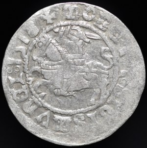 Sigismund I the Old, Half-penny 1518, Vilnius - Ring, mirrored D - very rare