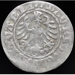 Zygmunt I Stary, Półgrosz 1518, Wilno - Pierścień, lustrzane D - b. rzadki
