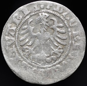 Sigismund I the Old, Half-penny 1518, Vilnius - Ring, mirrored D - very rare