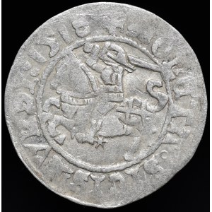 Zygmunt I Stary, Półgrosz 1518, Wilno - gotyk/renesans - dziury w skrzydłach - b. rzadki
