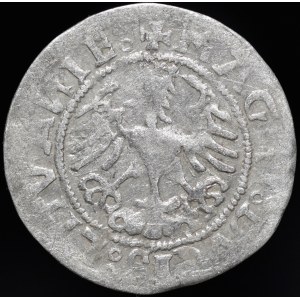 Zygmunt I Stary, Półgrosz 1518, Wilno - gotyk/renesans - dziury w skrzydłach - b. rzadki