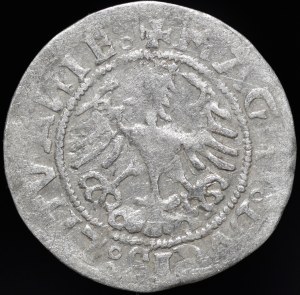 Sigismund I the Old, Half-penny 1518, Vilnius - Gothic/Renaissance - holes in wings - very rare