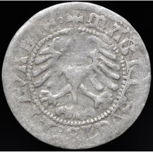 Zygmunt I Stary, Półgrosz 1519, Wilno - renesans/gotyk - b. rzadki