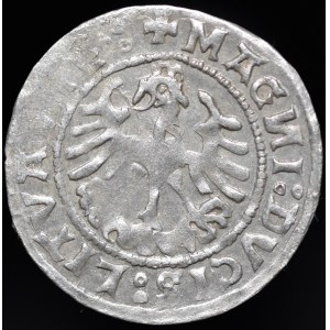 Zygmunt I Stary, Półgrosz 1519, Wilno - dwukropek, trzykropek - b. rzadki