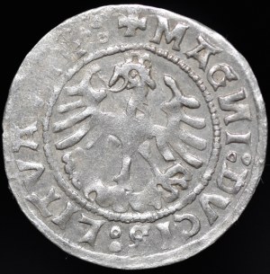 Sigismund I the Old, Half-penny 1519, Vilnius - colophon, triplet - very rare