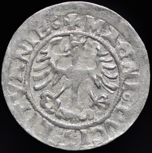 Sigismund I the Old, Half-penny 1519, Vilnius - 6 feathers - error, SIGISMVNID and mirrored D - rare