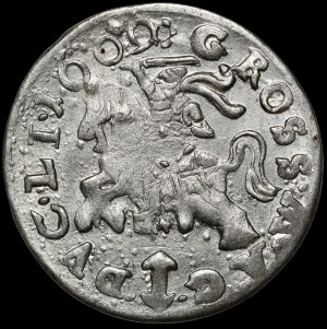 Sigismund III Vasa, 1609 penny, Vilnius