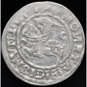 Zygmunt I Stary, Półgrosz 1519, Wilno - 5 piór - błąd LITANIE, przebitka, trzykropek - rzadki