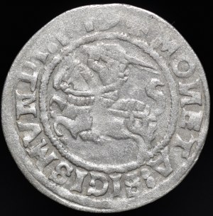 Sigismund I the Old, Half-penny 1519, Vilnius - 5 pennyweights - LITANIA error, punctuation, three dots - rare