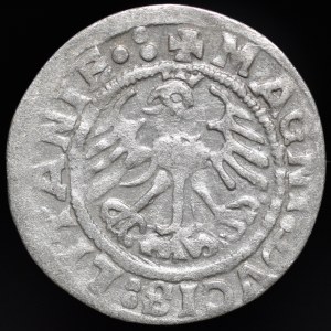Sigismund I the Old, Half-penny 1519, Vilnius - 5 pennyweights - LITANIA error, punctuation, three dots - rare