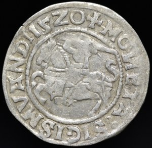 Sigismund I the Old, Half-penny 1520, Vilnius - SIGISMVANDI error - three dot - rare