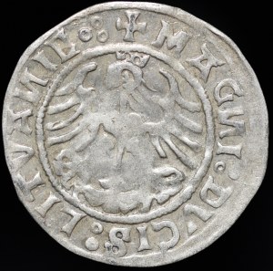 Sigismund I the Old, Half-penny 1520, Vilnius - SIGISMVANDI error - three dot - rare