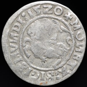 Sigismund I the Old, Half-penny 1520, Vilnius - SIGISMVANDI error - three dots