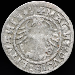 Sigismund I the Old, Half-penny 1520, Vilnius - SIGISMVANDI error - three dots