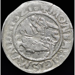 Zygmunt I Stary, Półgrosz 1521, Wilno - błąd MONEA - rzadki