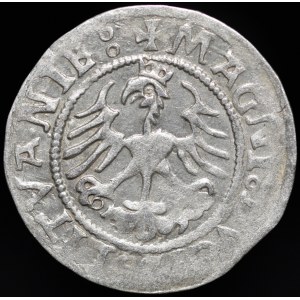 Zygmunt I Stary, Półgrosz 1521, Wilno - błąd MONEA - rzadki