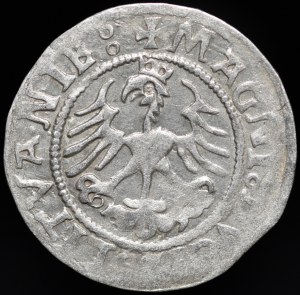 Sigismund I the Old, Half-penny 1521, Vilnius - MONEA error - rare