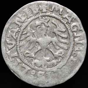 Sigismund I the Old, Half-penny 1521, Vilnius - SIGISMVANDI error - very rare