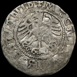 Sigismund I the Old, Half-penny 1524, Vilnius - rare