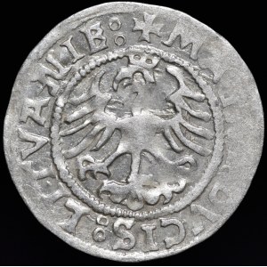 Zygmunt I Stary, Półgrosz 1523, Wilno - dwukropki