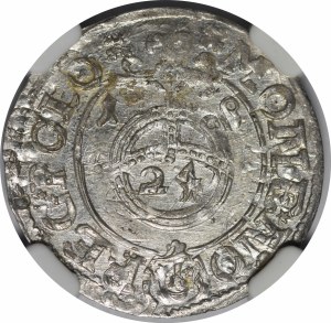 Sigismund III Vasa, Half-track 1618, Bydgoszcz - Sas in decorative shield, SIGIS