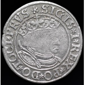 Zygmunt I Stary, Grosz 1533, Toruń - rzadszy