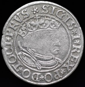 Sigismund I the Old, Penny 1533, Torun - rarer