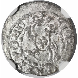 Zygmunt III Waza, Szeląg 1618, Ryga - mała korona - rzadki
