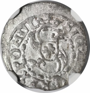 Sigismund III Vasa, 1618 Riga - small crown - rare